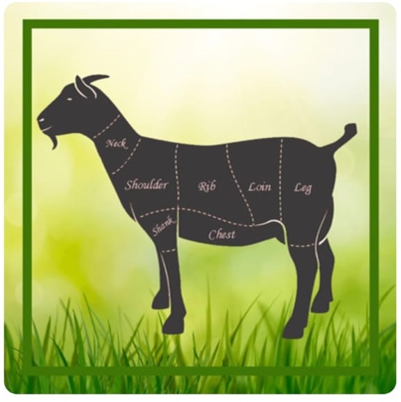 Mutton Body Portion