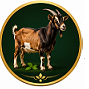 Sundarban Mutton