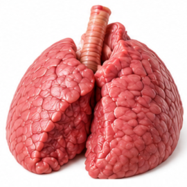 Fresh Goat Lungs – Cleaned & Ready to Cook